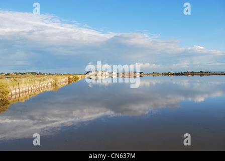 Scenic saltern acqua e riflessioni, Cervia, Ravenna, Italia Foto Stock