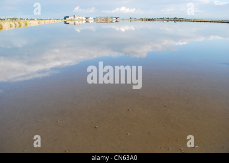 Scenic saltern acqua e riflessioni, Cervia, Ravenna, Italia Foto Stock