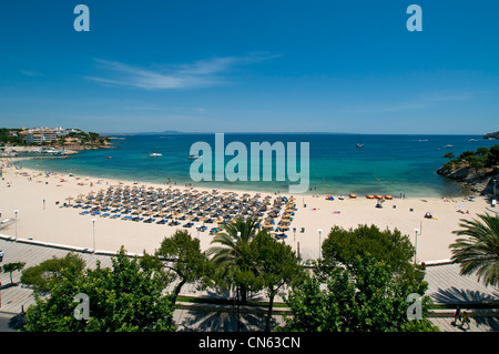 Spiaggia di Palma Nova Maiorca Isole Baleari Spagna Foto Stock