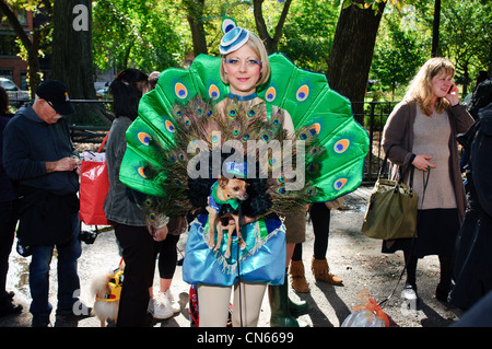 Rivale (peacock) al cane di Halloween Parade di Tompkins Square Park a Manhattan, New York City. Ottobre 22, 2011. Foto Stock