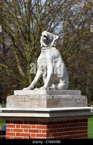 Replica delle statue dei cani di Alcibiades guardia su plinti vicino Bonner gate, Victoria Park, Londra, Inghilterra, Regno Unito. Foto Stock