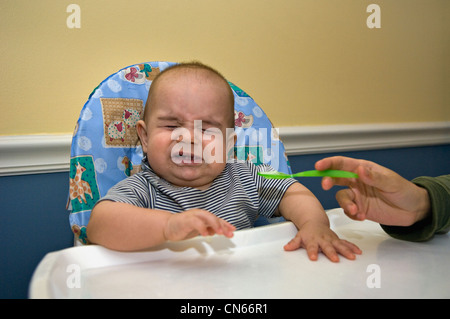 Nove mesi di età Bimbo infelice per mangiare Avacado per la prima volta Foto Stock