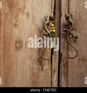 Vecchie porte in legno con maniglie in forma di lucertole, texture quadrato Foto Stock