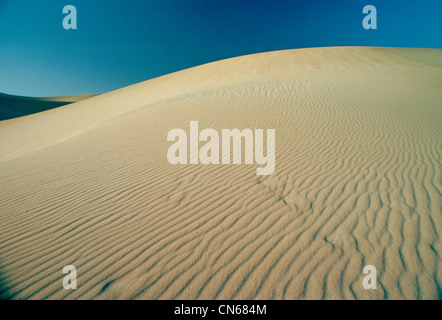 Orme attraverso le creste di sabbia nel deserto in Qatar Foto Stock
