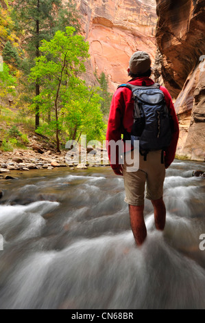 Escursionista, North Fork del fiume vergine, Sion si restringe, Utah. Foto Stock