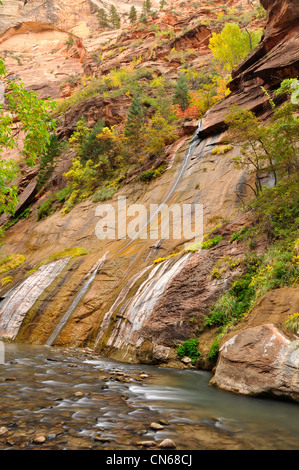 Forcella a nord del fiume vergine, Sion si restringe, Utah. Foto Stock