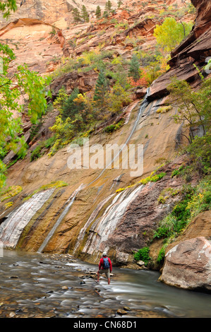 Escursionista, North Fork del fiume vergine, Sion si restringe, Utah. Foto Stock