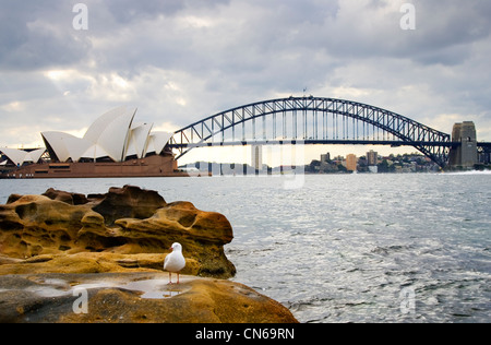 Sydney Opera House di Sydney e il Sydney Harbour Bridge, Australia Foto Stock