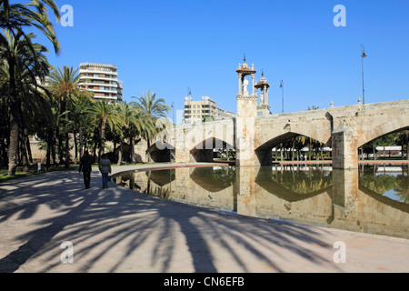 Di palme da dattero e ponte in Giardini Turia Valencia Spagna Foto Stock