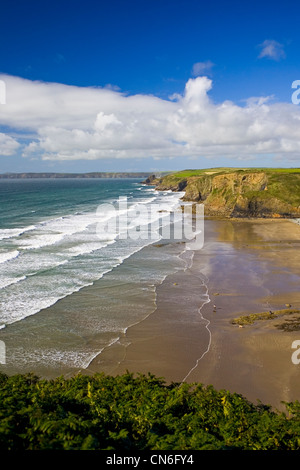 Uomo e cane sul DruidstoneBeach vicino ampio Haven, Pembrokeshire, Wales, Regno Unito Foto Stock