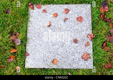 Sfondo,antica,marmo,piastrella,prato,foglie,l'erba,verde,autunno,marrone,caduta,sfondo,abstract,l'architettura,bello e luminoso,closeup,c Foto Stock