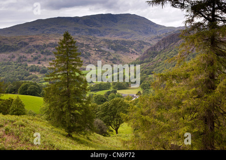 Regno Unito, Cumbria, Lake District, il vecchio uomo di Coniston dal Tarn Hows Foto Stock