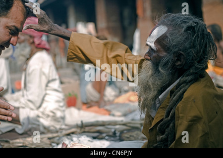 Sadhu benedizione pellegrino durante Shivaratri festival al tempio di Pashupatinath , Kathmandu in Nepal Foto Stock