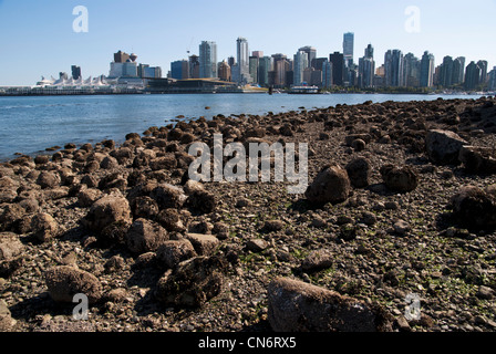 Lo skyline di Vancouver, vista da Stanley Park. Foto Stock