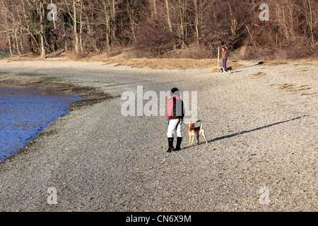 Dog walkers sulla spiaggia Stony Brook Long Island NY Foto Stock