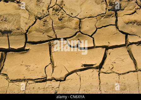 Ausgetrockneter Boden - terreno essiccati Foto Stock