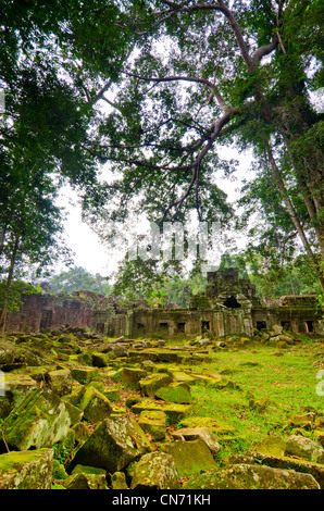 Verde a Preah Khan Temple, Ankor Wat, Cambogia Foto Stock