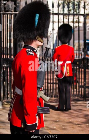 Guardsman irlandese al Clarence House Foto Stock