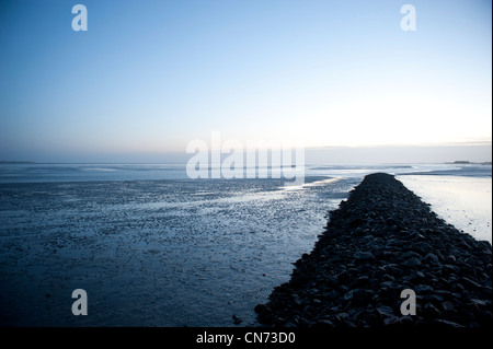 La bassa marea oltre il sito patrimonio mondiale dell'unesco tedesco il Wadden Sea off Hallig Langeness in mattina presto Foto Stock