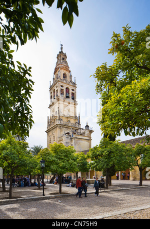 La Torre de Alminar e il Patio de los Naranjos nella motivazione della Mezquita (Cathedral-Mosque), Cordoba, Andalusia, Spagna Foto Stock