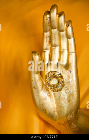 Mano di Buddha. Foto Stock