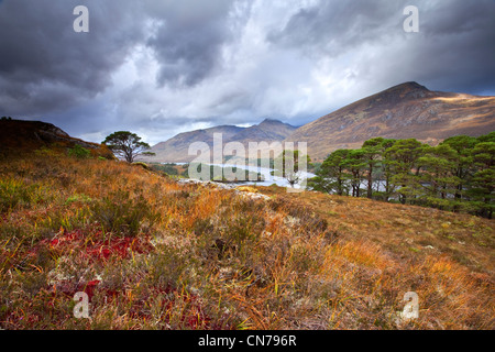 Vista verso il Loch Affric e Sgurr na Lapaich Foto Stock