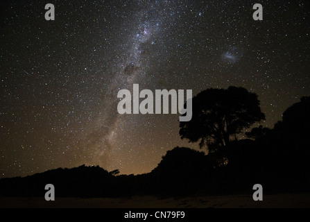 Stelle della Via Lattea e di altre galassie visibili dal Parco Nazionale Abel Tasman, Nuova Zelanda, 30 marzo 2009. (Adrien Veczan) Foto Stock