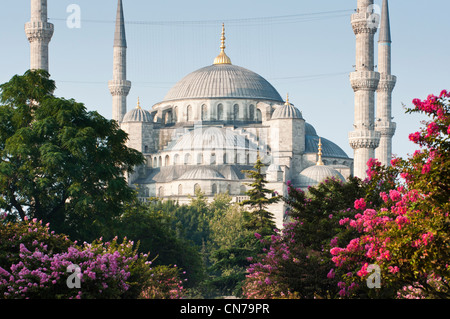 L'iconico Moschea Blu, Istanbul, Turchia. Foto Stock