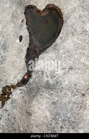 Pavimentazione in calcare Foto Stock