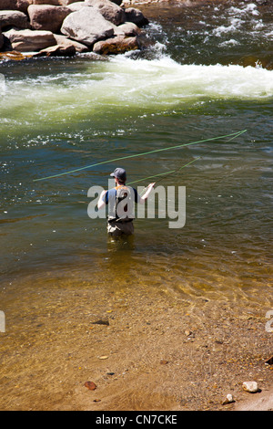 Fly pescatore in Arkansas River che corre attraverso il quartiere del centro storico del piccolo paese di montagna di salida, CO Foto Stock