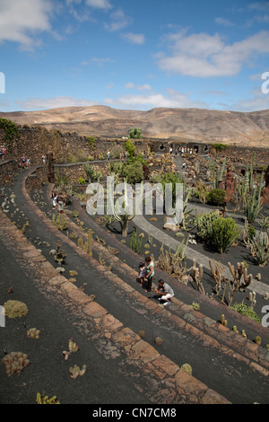 Il Jardin de Cactus Garden creato dall'artista César Manrique situato tra Guatiza e Mala a Lanzarote nelle isole Canarie Foto Stock