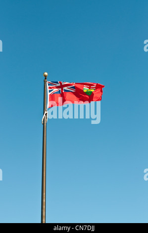 La bandiera provinciale di Ontario vola su un pennone con un profondo cielo blu in background. Foto Stock