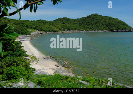 Light Scattering da particelle di sedimento e microrganismi rende il look di mare verde,koh sichang, Thailandia Foto Stock