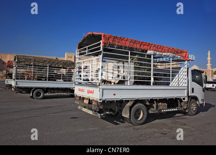 Der traditionelle Tiermarkt wird inzwischen nur noch direkt ab abgewickelt LKW. Nizwa ist das Zentrum des omanischen Kernlandes. Foto Stock