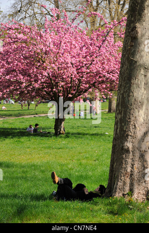 Francia, Parigi, Bois de Boulogne Foto Stock