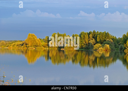 Francia, Giura, Doubs bassa valle, petit noir Foto Stock