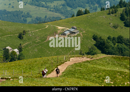 Francia, Haut Rhin, Vallee de Munster, hikkers Foto Stock