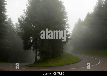 Francia, Haut Rhin, Vallee de Munster, paesaggio da Vosges Foto Stock