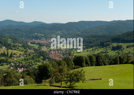 Francia, Haut Rhin, Vallee de Munster, valle di Munster Foto Stock