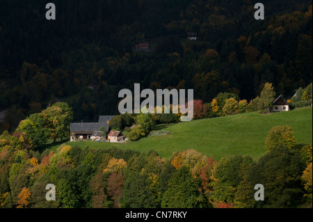 Francia, Haut Rhin, Vallee de Munster, paesaggio da Vosges Foto Stock