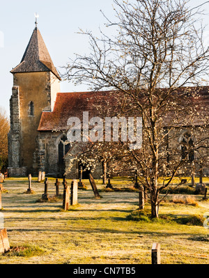 St Georges Chiesa, Trotton, West Sussex nelle prime ore del mattino con l inizio della primavera e fioritura leggera brina sulla terra. Foto Stock