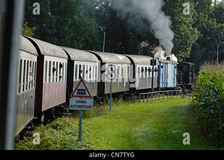 Francia, Haut Rhin, treno della ferrovia turistica sul Reno, che scorre lungo il Reno in estate, locomotiva a vapore E30TB verso Foto Stock