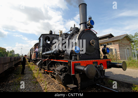 Francia, Haut Rhin, treno della ferrovia turistica sul Reno, presso la stazione a Volgelsheim, E30TB locomotiva a vapore costruita da EMG in Foto Stock