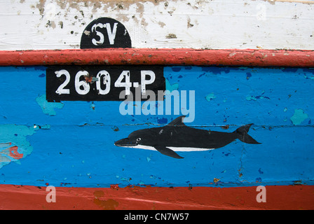 Capo Verde, Sao Vicente isola, Baia das Gatas, Dolphin vernici su uno di barche da pesca Foto Stock