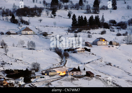 Francia, Vosges, La Bresse, bog, comune mirtillo (Vaccinium myrtillus), luglio Foto Stock