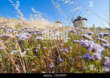 La Grecia, Lemnos Island, i mulini a vento di Kontias Foto Stock