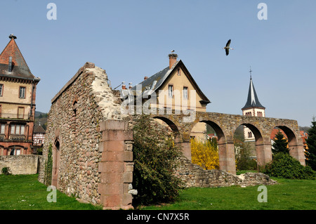 Francia, Haut Rhin, Munster, Rovine dell'abbazia e cicogne (Ciconia ciconia) il volo e il nido in aprile Foto Stock