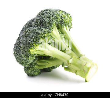 Broccoli freschi isolato su uno sfondo bianco Foto Stock