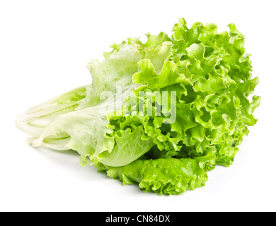 Fresco Verde foglie di lattuga isolati su sfondo bianco Foto Stock