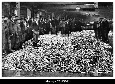 Pubblicato per la prima volta 1915 Aringa auction in Grimsby Inghilterra mercato del pesce in commercio Foto Stock